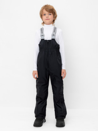 Брюки утепленные, артикул: ВК 46021/25/1 ГР, цвет: черный