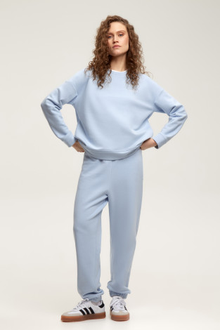 Джемперы женские для мам, артикул: ЕВТ 3221, цвет: голубой